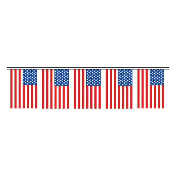 PNPOP33 FLAG